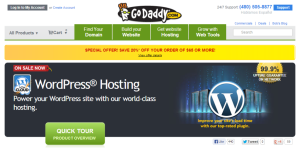 godaddy hosting server review