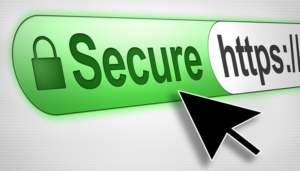 SSL/ TLS Protected Websites